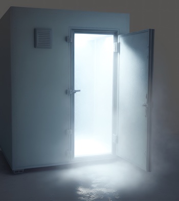 Open Freezer Door